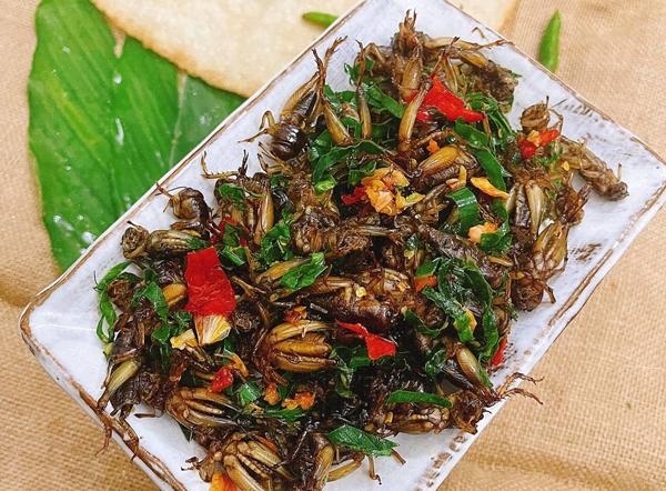 Dế cơm chiên